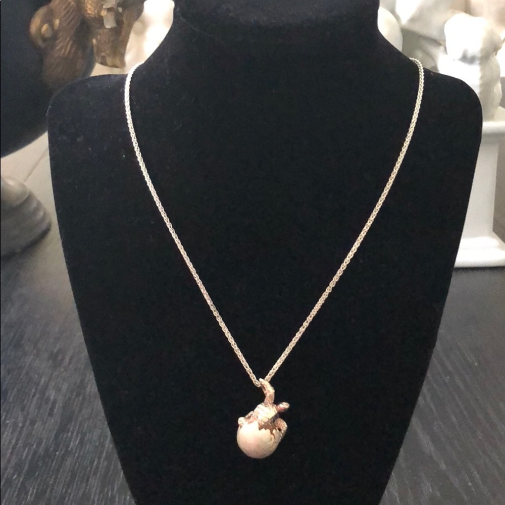 Sterling Silver Turtle in Shell